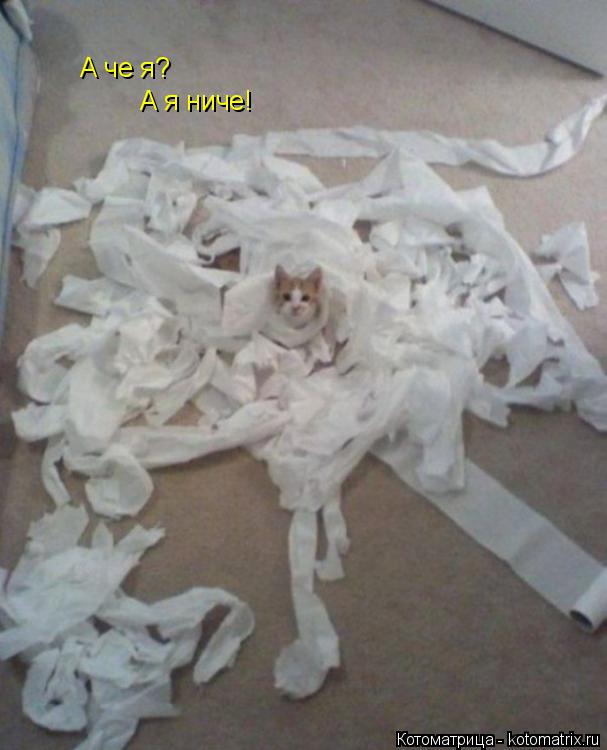 А че я? А я ни ч А я ниче!... Котоматрица: А че я? А я ни ч А я ниче!