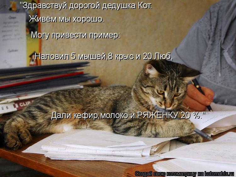 "Здравствуй дорогой дедушка Кот. Живём мы хорошо. Могу привести пример: Наловил 5 мышей,8 крыс и 20 Л... Котоматрица: "Здравствуй дорогой дедушка Кот. Живём мы хорошо. Могу привести пример: Наловил 5 мышей,8 крыс и 20 Люб, Дали кефир,молоко и РЯЖЕНКУ 20 %."