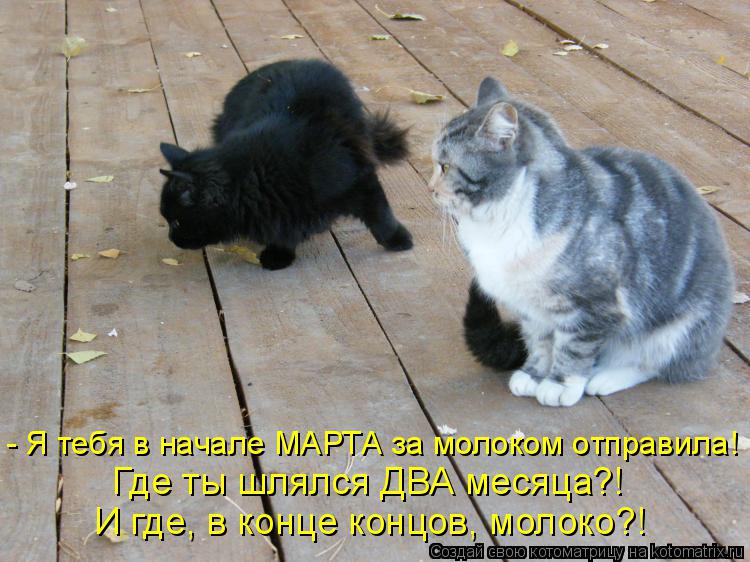 - Я тебя в начале МАРТА за молоком отправила! Где ты шлялся ДВА месяца?! И где, в конце концов, молок... Котоматрица: - Я тебя в начале МАРТА за молоком отправила! Где ты шлялся ДВА месяца?! И где, в конце концов, молоко?!