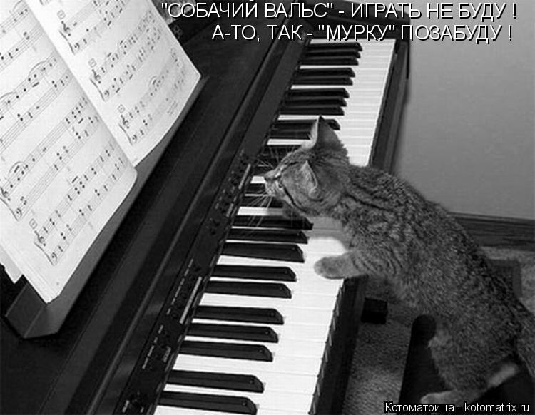 "СОБАЧИЙ ВАЛЬС" - ИГРАТЬ НЕ БУДУ ! А-ТО, ТАК - "МУРКУ" ПОЗАБУДУ !... Котоматрица: "СОБАЧИЙ ВАЛЬС" - ИГРАТЬ НЕ БУДУ ! А-ТО, ТАК - "МУРКУ" ПОЗАБУДУ !