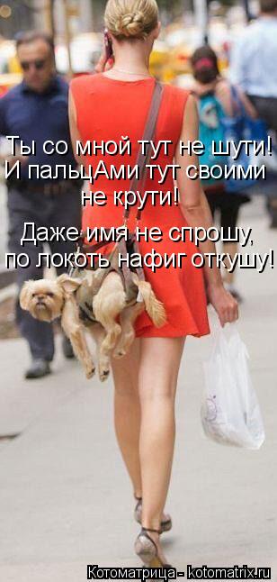 Котоматрица: Ты со мной тут не шути! Даже имя не спрошу,  по локоть нафиг откушу! И пальцАми тут своими не крути!