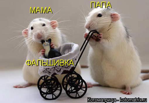 МАМА ПАПА ФАЛЬШИВКА... Котоматрица: МАМА ПАПА ФАЛЬШИВКА