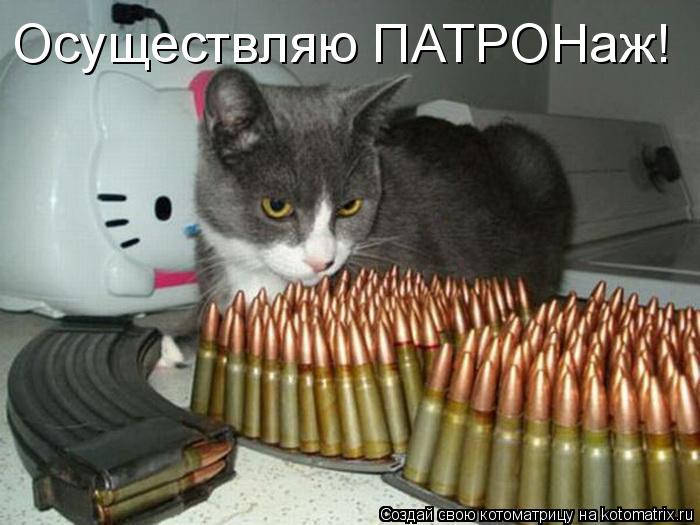 Осуществляю ПАТРОНаж!... Котоматрица: Осуществляю ПАТРОНаж!