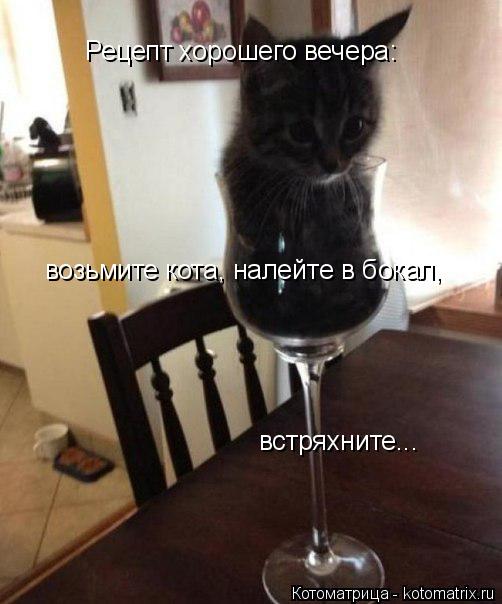 Рецепт хорошего вечера: возьмите кота, налейте в бокал, встряхните...... Котоматрица: Рецепт хорошего вечера: возьмите кота, налейте в бокал, встряхните...