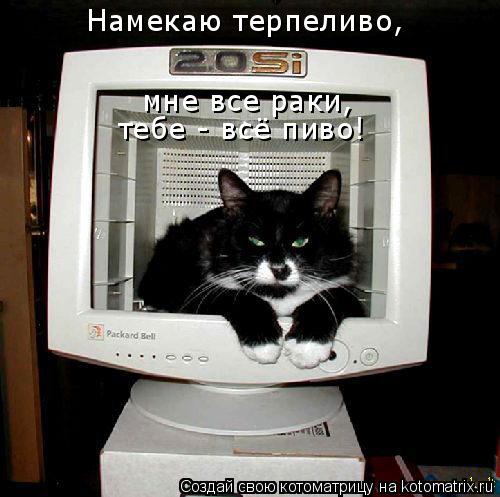 Намекаю терпеливо, мне все раки, тебе - всё пиво!... Котоматрица: Намекаю терпеливо, мне все раки, тебе - всё пиво!