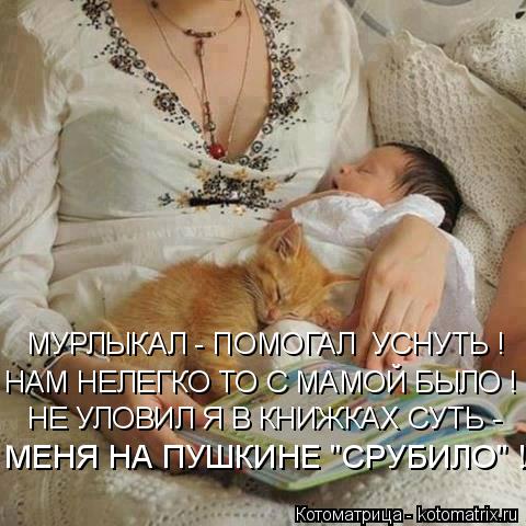 Котоматрица: МУРЛЫКАЛ - ПОМОГАЛ  УСНУТЬ ! НАМ НЕЛЕГКО ТО С МАМОЙ БЫЛО ! НЕ УЛОВИЛ Я В КНИЖКАХ СУТЬ - МЕНЯ НА ПУШКИНЕ "СРУБИЛО" !
