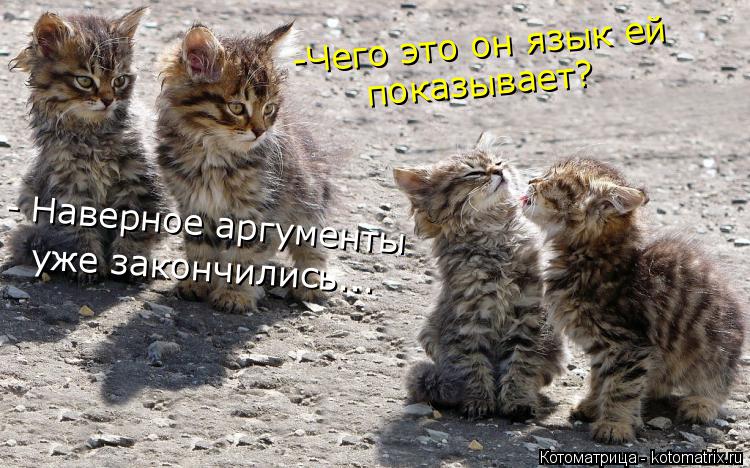 Котоматрица: -Чего это он язык ей  показывает? - Наверное аргументы  уже закончились...