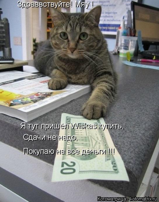 Котоматрица: Здраввствуйте! Мяу !  Я тут пришёл Wiskas купить, Сдачи не надо, Покупаю на все деньги !!!
