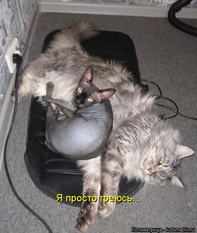 Я просто греюсь...... Котоматрица: Я просто греюсь...