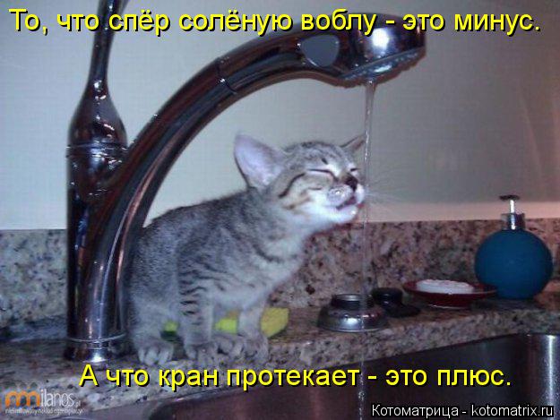 То, что спёр солёную воблу - это минус. А что кран протекает - это плюс.... Котоматрица: То, что спёр солёную воблу - это минус. А что кран протекает - это плюс.