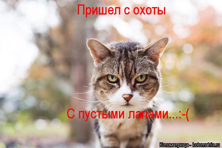 Котоматрица: Пришел с охоты С пустыми лапами...:-(