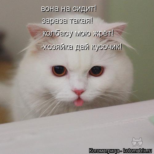 Котоматрица: вона на сидит!  зараза такая! колбасу мою жрёт! -хозяйка дай кусочик!
