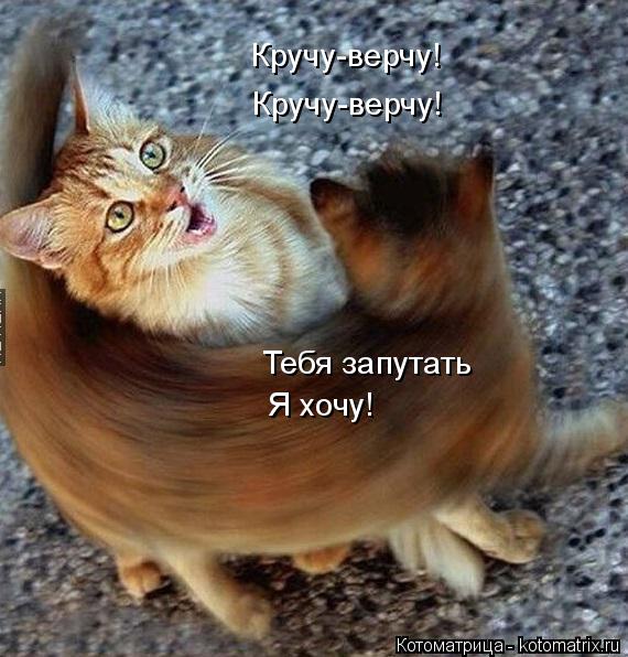 Котоматрица: Кручу-верчу!  Кручу-верчу!  Тебя запутать Я хочу!
