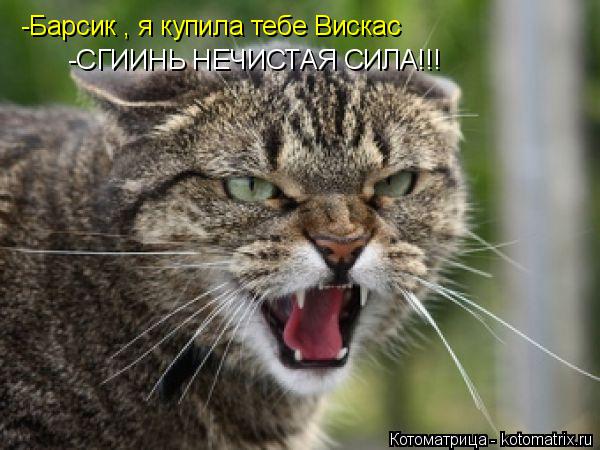 Котоматрица: -Барсик , я купила тебе Вискас -СГИИНЬ НЕЧИСТАЯ СИЛА!!!