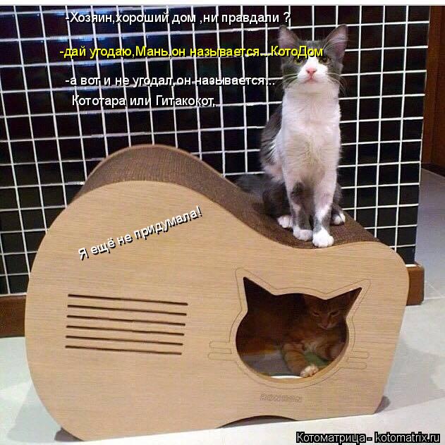 Котоматрица: -дай угодаю,Мань,он называется...КотоДом -Хозяин,хороший дом ,ни правдали ? -а вот и не угодал,он называется... Кототара или Гитакокот, Я ещё не 