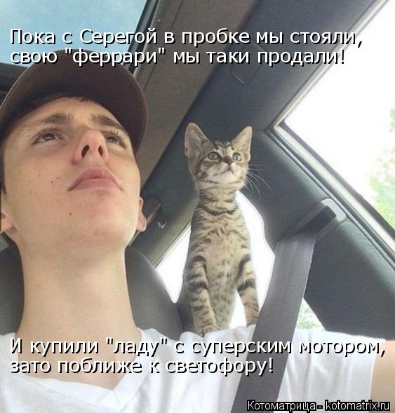 Котоматрица: Пока с Серегой в пробке мы стояли, свою "феррари" мы таки продали! И купили "ладу" с суперским мотором, зато поближе к светофору!