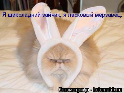 Я шиколадний зайчик, я ласковый мерзавец.... Котоматрица: Я шиколадний зайчик, я ласковый мерзавец.