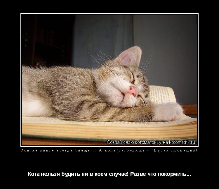 Сон на книге всегда слаще... А коль разбудишь - Дурак пропащий! Кота нельзя будить ни в коем случае!... Котоматрица: Сон на книге всегда слаще... А коль разбудишь - Дурак пропащий! Кота нельзя будить ни в коем случае! Разве что покормить...