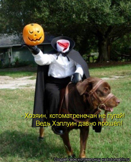 Котоматрица: - Хозяин, котоматренечан не пугай! Ведь Хэллуин давно прошёл!