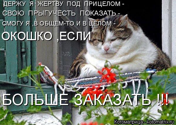 Котоматрица: ДЕРЖУ  Я  ЖЕРТВУ  ПОД  ПРИЦЕЛОМ - СВОЮ  ПРЫГУЧЕСТЬ  ПОКАЗАТЬ - СМОГУ Я ,В ОБЩЕМ-ТО И В ЦЕЛОМ - ОКОШКО ,ЕСЛИ   БОЛЬШЕ ЗАКАЗАТЬ !!!