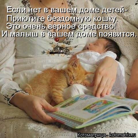 Котоматрица: Если нет в вашем доме детей- Приютите бездомную кошку. Это очень верное средство! И малыш в вашем доме появится.
