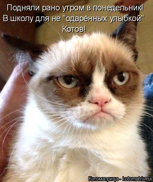 Подняли рано утром в понедельник! В школу для не "одарённых улыбкой" Котов!... Котоматрица: Подняли рано утром в понедельник! В школу для не "одарённых улыбкой" Котов!