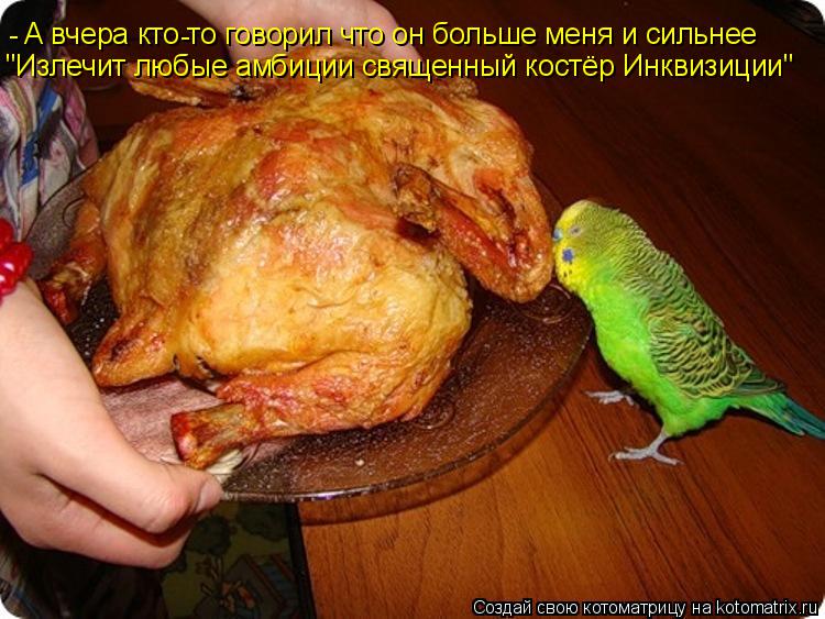 "Излечит любые амбиции священный костёр Инквизиции" А вчера кто то говорил что он больше меня и сильн... Котоматрица: "Излечит любые амбиции священный костёр Инквизиции" А вчера кто то говорил что он больше меня и сильнее - - -