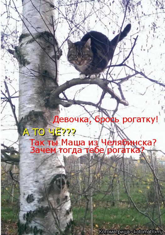 Котоматрица: Девочка, брось рогатку! А ТО ЧЁ??? Так ты Маша из Челябинска? Зачем тогда тебе рогатка?
