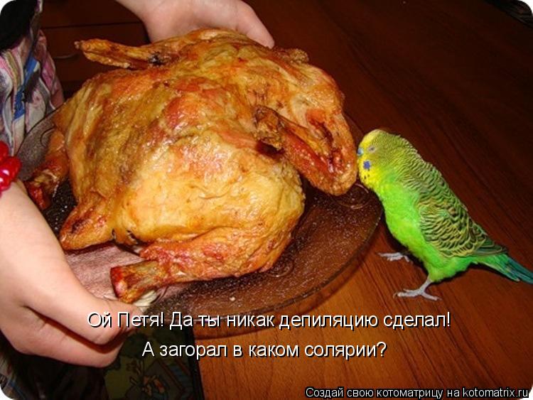 Ой Петя! Да ты никак депиляцию сделал! А загорал в каком солярии?... Котоматрица: Ой Петя! Да ты никак депиляцию сделал! А загорал в каком солярии?
