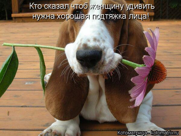 Кто сказал чтоб женщину удивить нужна хорошая подтяжка лица!... Котоматрица: Кто сказал чтоб женщину удивить нужна хорошая подтяжка лица!