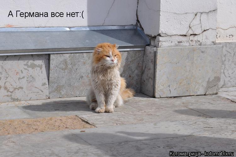 Котоматрица: А Германа все нет:(
