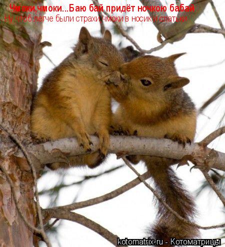 Чмоки,чмоки...Баю бай придёт ночкою бабай Ну чтоб легче были страхи,чмоки в носик и спатьки... Котоматрица: Чмоки,чмоки...Баю бай придёт ночкою бабай Ну чтоб легче были страхи,чмоки в носик и спатьки