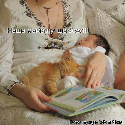 Наша мама лучше всех!!!... Котоматрица: Наша мама лучше всех!!!