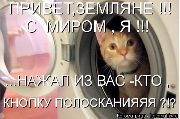 ПРИВЕТ,ЗЕМЛЯНЕ !!! С МИРОМ , Я !!! ...НАЖАЛ ИЗ ВАС -КТО , КНОПКУ ПОЛОСКАНИЯЯЯ ?!?... Котоматрица: ПРИВЕТ,ЗЕМЛЯНЕ !!! С МИРОМ , Я !!! ...НАЖАЛ ИЗ ВАС -КТО , КНОПКУ ПОЛОСКАНИЯЯЯ ?!?