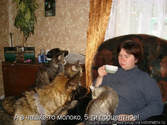 А в чашке-то молоко, 5-ти процентное!... Котоматрица: А в чашке-то молоко, 5-ти процентное!