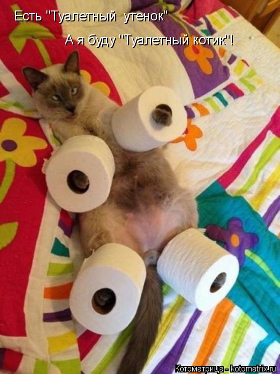 Есть "Туалетный утенок" А я буду "Туалетный котик"!... Котоматрица: Есть "Туалетный утенок" А я буду "Туалетный котик"!