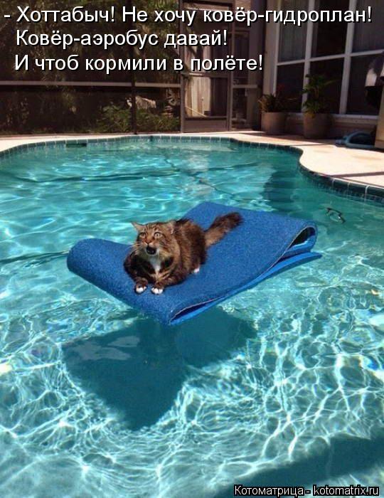 - Хоттабыч! Не хочу ковёр-гидроплан! Ковёр-аэробус давай! И чтоб кормили в полёте!... Котоматрица: - Хоттабыч! Не хочу ковёр-гидроплан! Ковёр-аэробус давай! И чтоб кормили в полёте!
