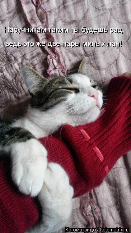 Наручникам таким ты будешь рад, ведь это же две пары милых лап!... Котоматрица: Наручникам таким ты будешь рад, ведь это же две пары милых лап!