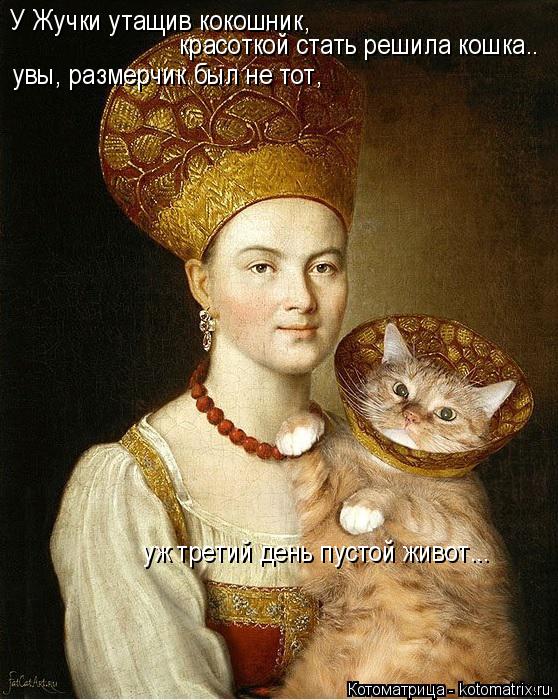 У Жучки утащив кокошник, красоткой стать решила кошка.. увы, размерчик был не тот, уж третий день пу... Котоматрица: У Жучки утащив кокошник, красоткой стать решила кошка.. увы, размерчик был не тот, уж третий день пустой живот...