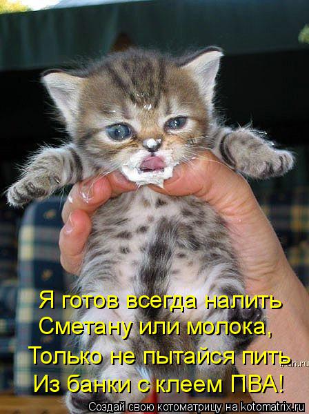 Я готов всегда налить Сметану или молока, Только не пытайся пить Из банки с клеем ПВА!... Котоматрица: Я готов всегда налить Сметану или молока, Только не пытайся пить Из банки с клеем ПВА!