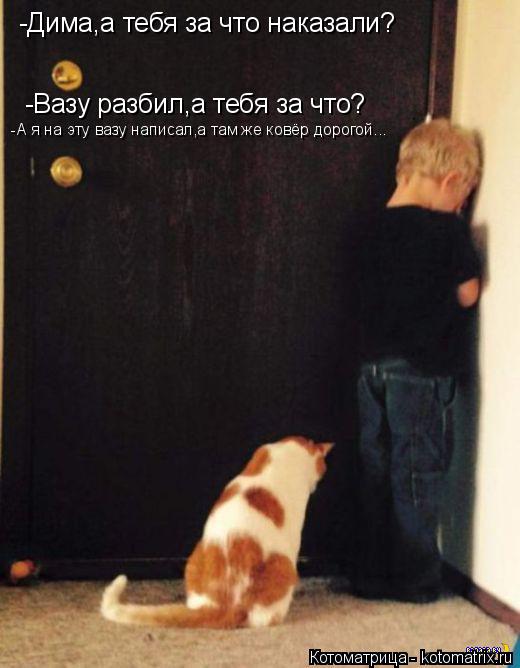 -Дима,а тебя за что наказали? -Вазу разбил,а тебя за что? -А я на эту вазу написал,а там же ковёр дор... Котоматрица: -Дима,а тебя за что наказали? -Вазу разбил,а тебя за что? -А я на эту вазу написал,а там же ковёр дорогой...
