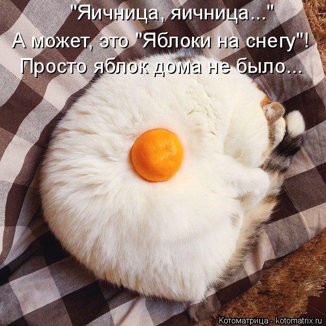 "Яичница, яичница..." А может, это "Яблоки на снегу"! Просто яблок дома не было...... Котоматрица: "Яичница, яичница..." А может, это "Яблоки на снегу"! Просто яблок дома не было...
