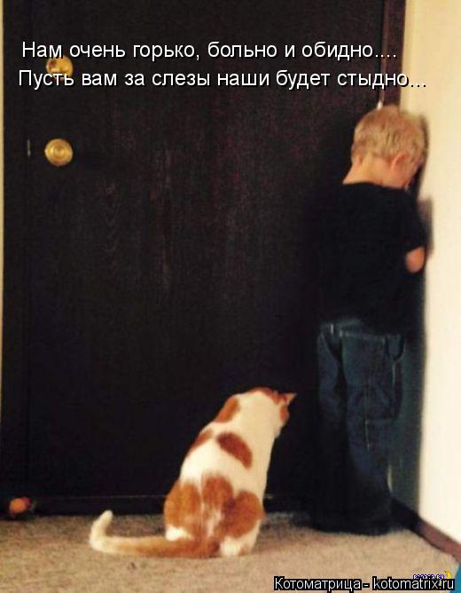 Нам очень горько, больно и обидно.... Пусть вам за слезы наши будет стыдно...... Котоматрица: Нам очень горько, больно и обидно.... Пусть вам за слезы наши будет стыдно...