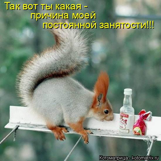 Так вот ты какая - причина моей постоянной занятости!!!... Котоматрица: Так вот ты какая - причина моей постоянной занятости!!!