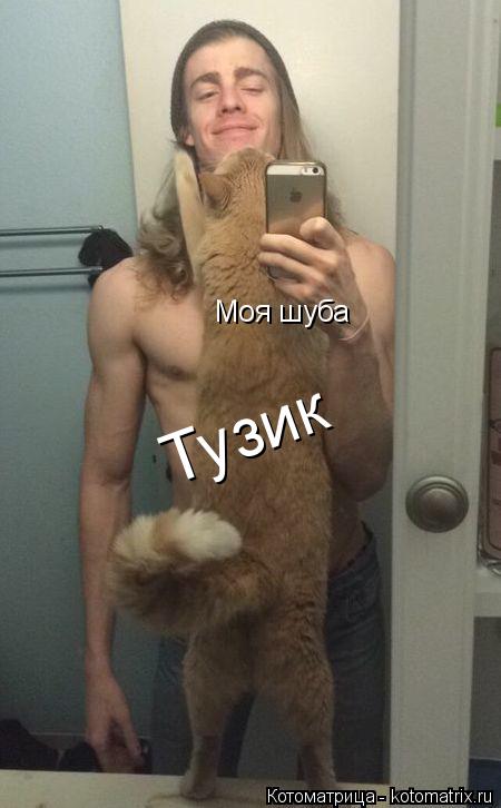 Моя шуба Тузик... Котоматрица: Моя шуба Тузик
