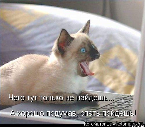 Чего тут только не найдешь... А хорошо подумав, спать пойдешь!... Котоматрица: Чего тут только не найдешь... А хорошо подумав, спать пойдешь!
