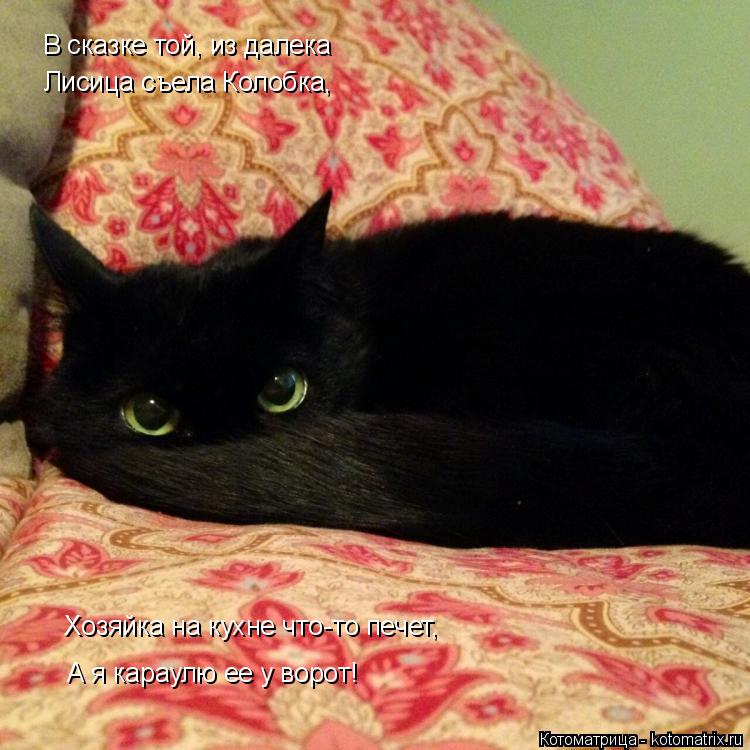 Котоматрица: Лисица съела Колобка, А я караулю ее у ворот! Хозяйка на кухне что-то печет, В сказке той, из далека