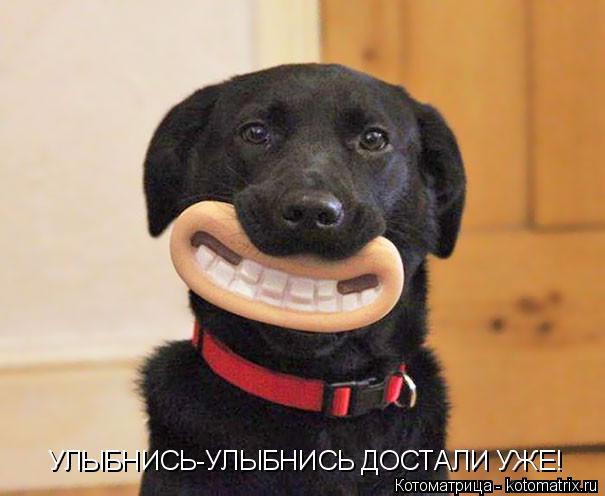 УЛЫБНИСЬ-УЛЫБНИСЬ ДОСТАЛИ УЖЕ!... Котоматрица: УЛЫБНИСЬ-УЛЫБНИСЬ ДОСТАЛИ УЖЕ!