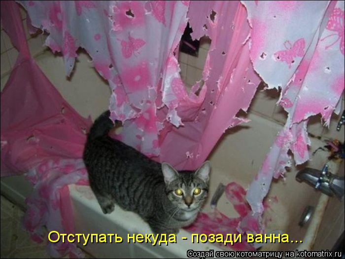 Котоматрица: Отступать некуда - позади ванна...