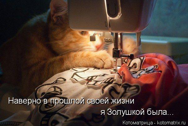 Котоматрица: Наверно в прошлой своей жизни  я Золушкой была...
